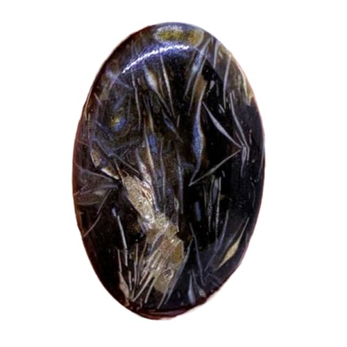 Cabochon fossile naturel 38x23mm gemme ovale unique pour création bijoux