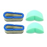 WPHBMMF Motorcycle Replacement Parts Air Filter for Briggs for Stratton 196700 257700 259700 28A700