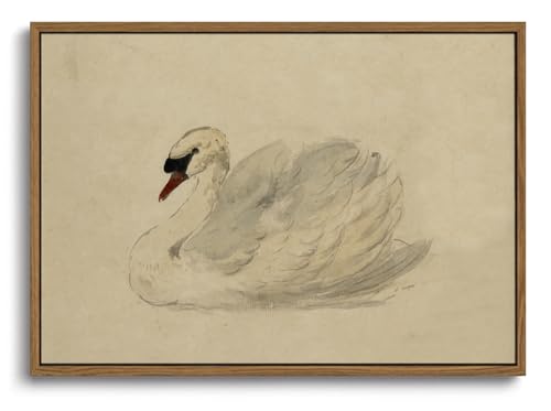 Image of KISSFOX Framed Wall Art Vintage Wall Decor Swan Pictures Retro Animal Canvas Art Rustic Aesthetic Paintings Farmhouse Artwork For Bedroom Living Room Kitchen