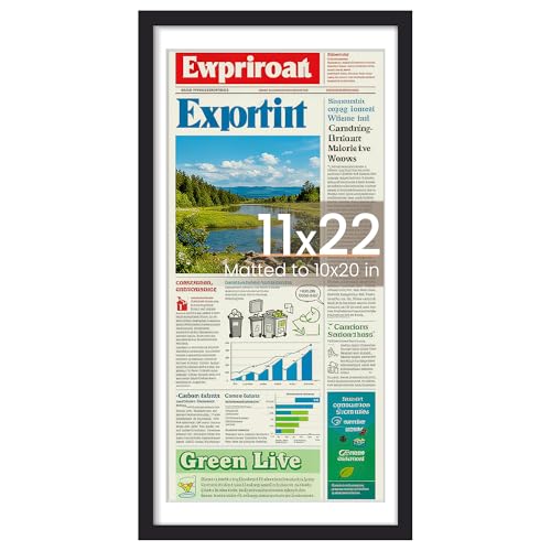 upsimples 11x22 newspaper frame, Display Pictures 10x20 with Mat or