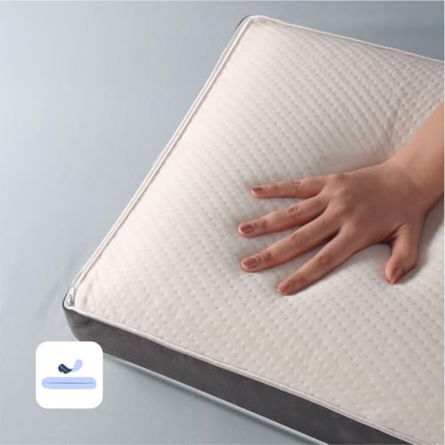 Image of Frido Sleep Plus Memory Foam Pillow | Ergonomic Support for Back & Side Sleepers | Durable, Hypoallergenic & Breathable Cool Pillow | for Everyday Use & Neck, Shoulder Pain | Washable Cover | Grey