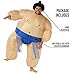 Morph Sumo Wrestler Inflatable Costume, Inflatable Sumo Costume, Blow Up Halloween Costumes For Men, Halloween Costumes Men, Blue