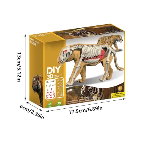 Rompecabezas 3D de esqueleto de tiburón para regalar a niñas 5