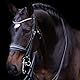 Imperial Riding Kandarenzaum IRHFria, Black, F/S