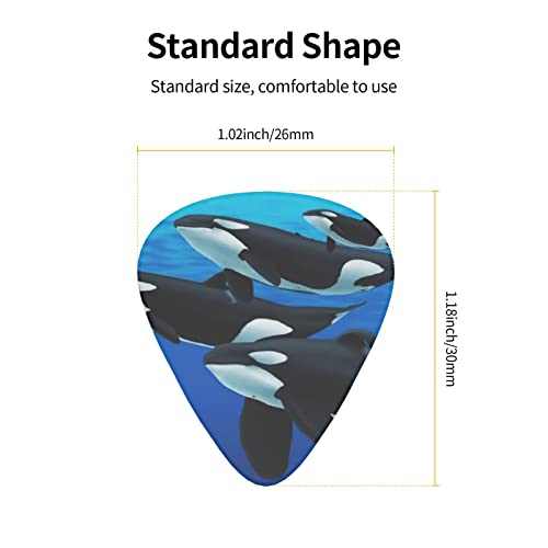 Orca Killer Whale Lot de 12 médiators fins moyens et lourds pour guitares acoustiques électriques - Les Beatles, Paul McCartney, John Lennon, RIngo Starr, George Harrison Orca Killer Whale Lot de 12 médiators fins moyens et lourds pour guitares acoustiques électriques – Image 5