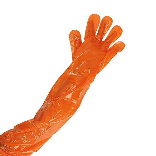 Forgesy DISPOSABLE FULL ARM GLOVES 200 PCS 35" (ORANGE) (B094NXJFD6) Amazon Price History, Amazon Price Tracker