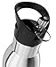 Invigorated Water pH Active Insulated Water Bottle - Filtered Alkaline Water Bottle - Stainless Steel Water Bottle - Includes Alkaline Water Filter, Plus Sports Gym Lid - Double Walled Metal - 650ml