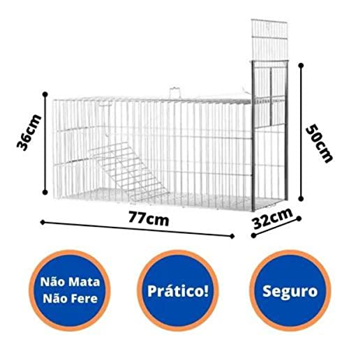 Armadilha Gigante Gatoeira Para Capturar Gatos Gambas-Prata