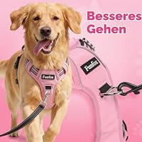 Funfox Anti Zug Hundegeschirr Mittelgroße Hunde mit Frontclip, Rosa | Vertikaler Griff, Verstellbar, 2 D-Ringe, Gepolstert, Nachts Reflektierend, für Kleine Mittlere Grosse Hunde, M – Ansicht 3