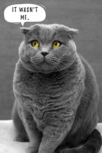 ✧確認用✧blue meme cat✧signature note book✧ cute couple cat | white & grey