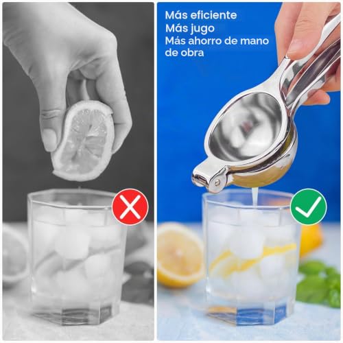 Miniatura 7 de 