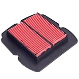 NHTYGD Motorcycle Air Filter 13780-16G00 8000A5360 Compatible with for Suzuki SV 650 2003-2009 / SV
