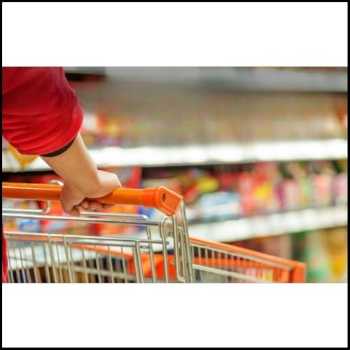 [新潟市内限定]家事援助サービス(日用品等の買物)