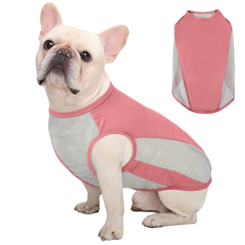 Kuoser Kühlweste Hund, S Hundekühlweste Sommer, UV-Schutz Shirt, Atmungsaktive Kühljacke, Leichte Sonnenschutz-Bekleidung, Insektenschutz für Outdoor, Must-Have für heiße Tage, Rosa