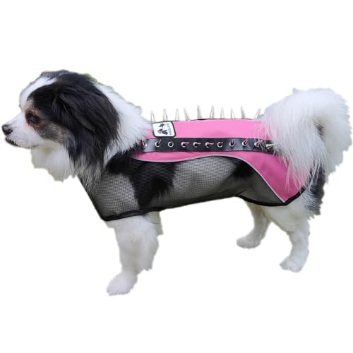 Dog Spike Vest The 15 best products compared Wild Explained