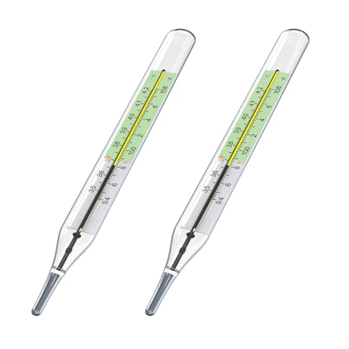 2PCS Glass Thermometers for Adults Medical Fever