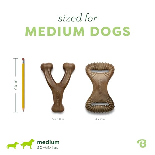 Image of Benebone 2-pack Wishbone /Dental Durable Dog Chew Toys, Dog Toys for Aggressive Chewers, Real Bacon, Made in USA, Medium