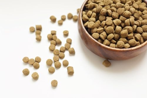M-SOL Classic Hundefutter mit Insektenprotein – Super Gesund, Nachhaltig & Hypoallergen (3kg Packung)
