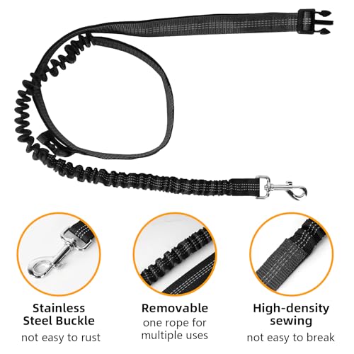 Corpower Joggingleine Hunde, Laufleine für Hunde, Bauchgurt Hundeleine - Multifunktional, Bietet Platz für Eine Wasserflasche, Geeignet zum Joggen, Radfahren, Wandern