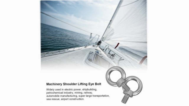 Image of M20 Stainless Steel Eye Bolt, 2Pcs Heavy Duty Lifting Ring Screws, Marine Grade 316 Shoulder Eye Bolts with Nuts, for Lifting Rigging Marine Hardware Pulley Bracket