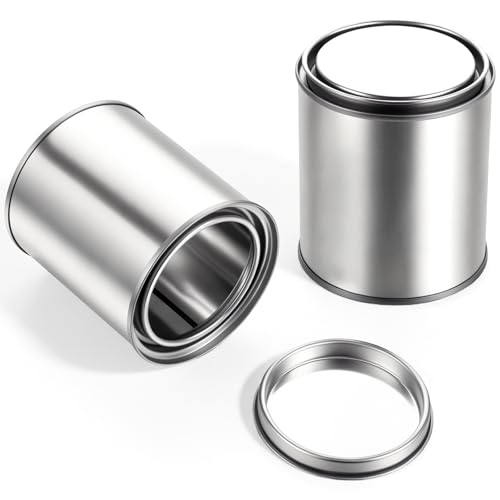 2Pcs Empty Paint Cans with Lids Metal Paint Storage Containers Touch Up Paints Bucket with Lid for Paints Storage DIY Projects Arts Crafts Garage Organization