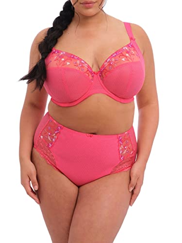 Elomi Womens Charley Embroidered Full Coverage Brief Bikini Style Underwear, Honeysuckle, Medium Us #TOP1