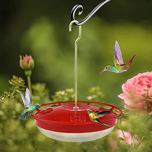 Comedero para colibrí colgante para pájaros silvestres Cover