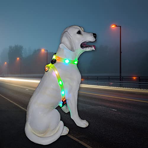 Light Up Dog Harness for Medium Dogs Lighted Dog Harness Rechargeable Waterproof Illuminated Glow in The Dark Reflective Light up Dog Vest LED