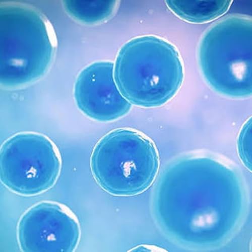 The Secret Life of Cells