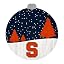 Syracuse Orange