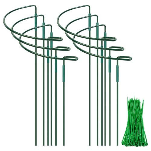 Lot de 6 supports pour plantes - 25 x 60 cm - Anneaux ronds en métal semi-circulaire - Pour légumes, pivoines, roses, hortensias, plantes en pot