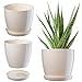 KADAX Blumentopf mit Untersetzer Ø 12 cm, Creme Pflanzkübel für Innen- und Außenbereich, ideal für Wohnzimmer, Balkon, Bad oder WC – lebendige Farben bringen Frische in jeden Raum
