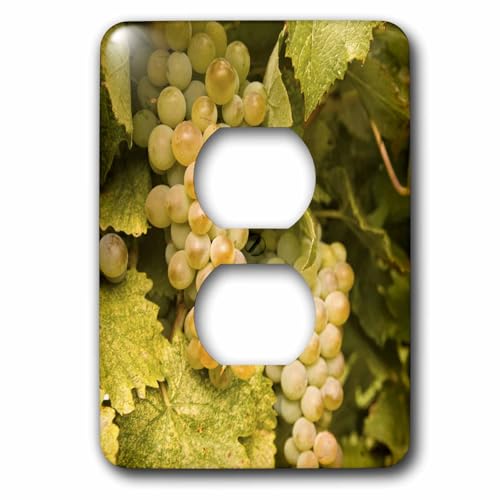 Rattlesnake Hills Wine plaque interrupteur double deco vignoble Yakima