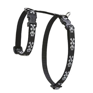 LupinePet Originals 1/2″ Bling Bonz 9-14″ H-style Harness for Small Pets