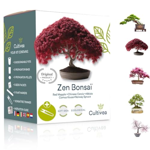Cultivea® Mini - Klaar om te groeien Kit Bonsaï - Kwaliteitszaden - Tuinieren en decoreren - Cadeau-idee (Rode Appel, Chinese Cercis, Cornus Kousa, Albizia, fijnspar)