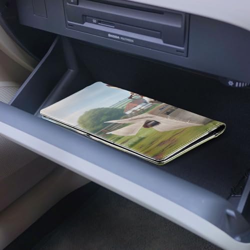 Organizador para carro tamaño compacto miniatura 7