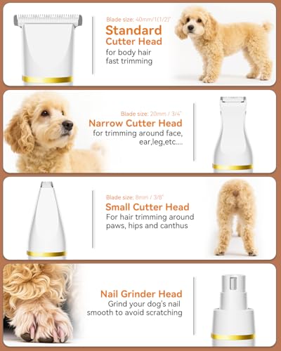 Image of unibono Dog Grooming Kit with Paw Trimmer, All-in-One Low Noise Electric Rechargeable Small Quiet Pet Clippers Foot Dog Hair Shaver with Stainless Steel Scissors and Comb for Dogs at Home