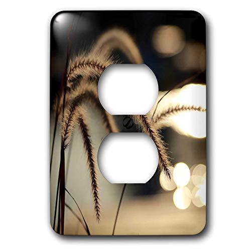 3dRose Photo of whimsical pampas grass with sunlight reflecting off a pool. 2 plug outlet cover