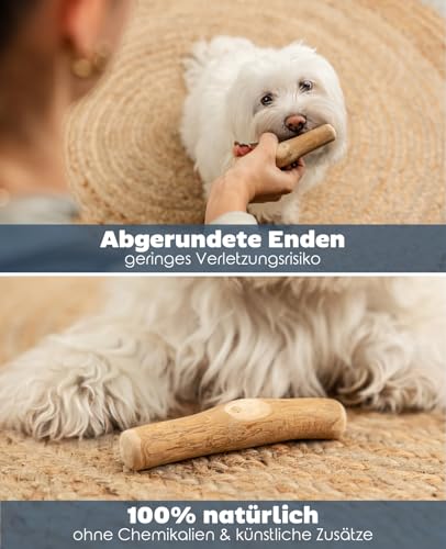 lionto Kaffeeholz für Hunde, Größe XS, 100% natürliches Robustes Kauspielzeug für gesunde Zähne, umweltfreundlicher Kauknochen für Welpen, langlebig & splitterarm, für Hunde unter 3 kg