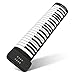 Flexibles Roll Up Piano, Hand Roll Up Keyboard Piano, Tragbares Faltbares Klavier mit 49 Tasten, 4D Surround Sound 16 Töne für Kinderanfänger(PM49)