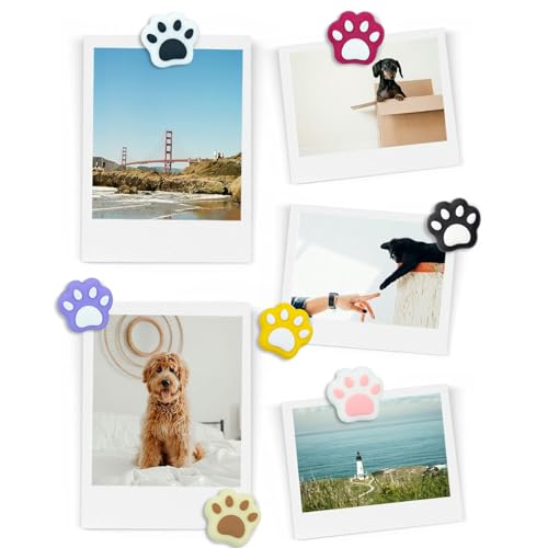 Set de 20 imanes decorativos huella de gato miniatura 2