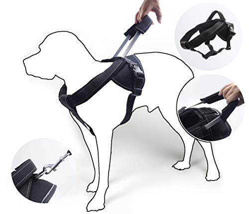 TBM Arnés reflectante para perro Cover