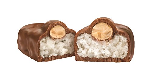 Almond Joy, Chocolate Coconut Candy Bar, Snack Size, 11.3 Ounce Bag (Pack Of 6) #TOP2