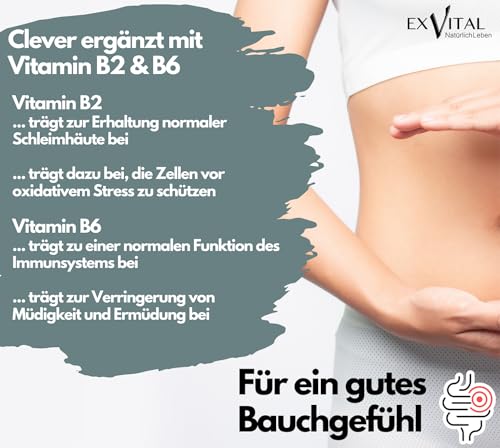 EXVital Flora+ Kulturen Komplex mit 500 Mrd. KBE/g - 22 Bakterienkulturen mit Akazienfaser - Effektive Darmbakterien u.a. Lactobacillus Salivarius & Bifidobakterien, 120 vegane Kapseln – Bild 4