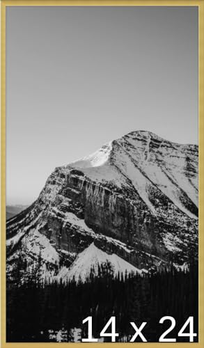 Frame It Easy 14 x 24 Gloss Gold Metal Frame (Ashford)