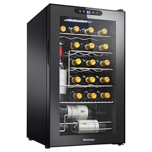 Wine Enthusiast 24-Bottle Compressor Wine Cooler with Upright Bottle Storage – Freestanding Wine Refrigerator with Digital Touchscreen and LED Temperature Display
