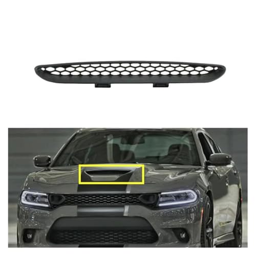 Cubierta malla capó delantero y rejilla de entrada de aire Charger Hellcat 2016-2021 3