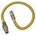 Brasscraft ProCoat 1/2 in. MIP x 1/2 in. Dia. x 24 in. L MIP Stainless Steel Gas Connector