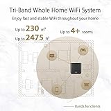 ASUS ZenWiFi XT8