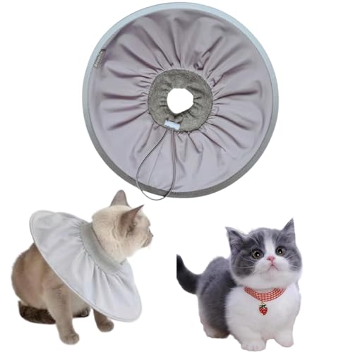 Lifetips}`JL }`Lp GUxXJ[ h \tg y pPA ی Ȃߖh~ p EȒP 􂦂 PAJ[([~XgO[j(Lj